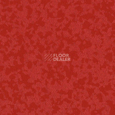 Линолеум Taralay Premium Osmoz 7108 Grenadine фото 1 | FLOORDEALER